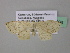  ( - BC ZSM Lep 39506)  @13 [ ] CreativeCommons - Attribution Non-Commercial Share-Alike (2011) Axel Hausmann/Bavarian State Collection of Zoology (ZSM) SNSB, Zoologische Staatssammlung Muenchen