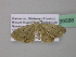  ( - BC ZSM Lep 39588)  @12 [ ] CreativeCommons - Attribution Non-Commercial Share-Alike (2011) Axel Hausmann/Bavarian State Collection of Zoology (ZSM) SNSB, Zoologische Staatssammlung Muenchen