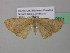  ( - BC ZSM Lep 39601)  @12 [ ] CreativeCommons - Attribution Non-Commercial Share-Alike (2011) Axel Hausmann/Bavarian State Collection of Zoology (ZSM) SNSB, Zoologische Staatssammlung Muenchen