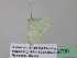  ( - BC ZSM Lep 39700)  @12 [ ] CreativeCommons - Attribution Non-Commercial Share-Alike (2011) Axel Hausmann/Bavarian State Collection of Zoology (ZSM) SNSB, Zoologische Staatssammlung Muenchen