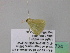  ( - BC ZSM Lep 39724)  @12 [ ] CreativeCommons - Attribution Non-Commercial Share-Alike (2011) Axel Hausmann/Bavarian State Collection of Zoology (ZSM) SNSB, Zoologische Staatssammlung Muenchen