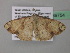  ( - BC ZSM Lep 39754)  @12 [ ] CreativeCommons - Attribution Non-Commercial Share-Alike (2011) Axel Hausmann/Bavarian State Collection of Zoology (ZSM) SNSB, Zoologische Staatssammlung Muenchen