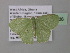  ( - BC ZSM Lep 39786)  @13 [ ] CreativeCommons - Attribution Non-Commercial Share-Alike (2011) Axel Hausmann/Bavarian State Collection of Zoology (ZSM) SNSB, Zoologische Staatssammlung Muenchen