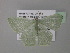  ( - BC ZSM Lep 39813)  @14 [ ] CreativeCommons - Attribution Non-Commercial Share-Alike (2011) Axel Hausmann/Bavarian State Collection of Zoology (ZSM) SNSB, Zoologische Staatssammlung Muenchen