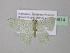 ( - BC ZSM Lep 39814)  @13 [ ] CreativeCommons - Attribution Non-Commercial Share-Alike (2011) Axel Hausmann/Bavarian State Collection of Zoology (ZSM) SNSB, Zoologische Staatssammlung Muenchen