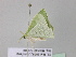  ( - BC ZSM Lep 39827)  @12 [ ] CreativeCommons - Attribution Non-Commercial Share-Alike (2011) Axel Hausmann/Bavarian State Collection of Zoology (ZSM) SNSB, Zoologische Staatssammlung Muenchen