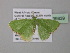  ( - BC ZSM Lep 39839)  @13 [ ] CreativeCommons - Attribution Non-Commercial Share-Alike (2011) Axel Hausmann/Bavarian State Collection of Zoology (ZSM) SNSB, Zoologische Staatssammlung Muenchen