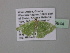  ( - BC ZSM Lep 39844)  @13 [ ] CreativeCommons - Attribution Non-Commercial Share-Alike (2011) Axel Hausmann/Bavarian State Collection of Zoology (ZSM) SNSB, Zoologische Staatssammlung Muenchen