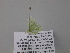  ( - BC ZSM Lep 39850)  @12 [ ] CreativeCommons - Attribution Non-Commercial Share-Alike (2011) Axel Hausmann/Bavarian State Collection of Zoology (ZSM) SNSB, Zoologische Staatssammlung Muenchen