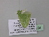  ( - BC ZSM Lep 39854)  @12 [ ] CreativeCommons - Attribution Non-Commercial Share-Alike (2011) Axel Hausmann/Bavarian State Collection of Zoology (ZSM) SNSB, Zoologische Staatssammlung Muenchen