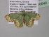  ( - BC ZSM Lep 40540)  @13 [ ] CreativeCommons - Attribution Non-Commercial Share-Alike (2011) Axel Hausmann/Bavarian State Collection of Zoology (ZSM) SNSB, Zoologische Staatssammlung Muenchen