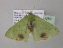 ( - BC ZSM Lep 40688)  @12 [ ] CreativeCommons - Attribution Non-Commercial Share-Alike (2011) Axel Hausmann/Bavarian State Collection of Zoology (ZSM) SNSB, Zoologische Staatssammlung Muenchen