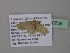  ( - BC ZSM Lep 40759)  @12 [ ] CreativeCommons - Attribution Non-Commercial Share-Alike (2011) Axel Hausmann/Bavarian State Collection of Zoology (ZSM) SNSB, Zoologische Staatssammlung Muenchen