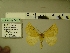  ( - BC ZSM Lep 54525)  @12 [ ] Copyright (2011) Axel Hausmann/Bavarian State Collection of Zoology (ZSM) SNSB, Zoologische Staatssammlung Muenchen