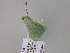  ( - BC ZSM Lep 54569)  @12 [ ] CreativeCommons - Attribution Non-Commercial Share-Alike (2011) Axel Hausmann/Bavarian State Collection of Zoology (ZSM) SNSB, Zoologische Staatssammlung Muenchen