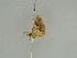  ( - BC ZSM Lep 47366)  @12 [ ] CreativeCommons - Attribution Non-Commercial Share-Alike (2010) Axel Hausmann/Bavarian State Collection of Zoology (ZSM) SNSB, Zoologische Staatssammlung Muenchen
