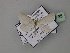  ( - BC ZSM Lep 59795)  @12 [ ] CreativeCommons - Attribution Non-Commercial Share-Alike (2011) Axel Hausmann/Bavarian State Collection of Zoology (ZSM) SNSB, Zoologische Staatssammlung Muenchen