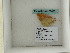  ( - BC ZSM Lep 60465)  @12 [ ] CreativeCommons - Attribution Non-Commercial Share-Alike (2011) Axel Hausmann/Bavarian State Collection of Zoology (ZSM) SNSB, Zoologische Staatssammlung Muenchen