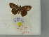  ( - INRGREF add 0064)  @12 [ ] Copyright (2011) Olfa Ezzine INRGREF