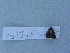  ( - INRGREF add 0069)  @12 [ ] Copyright (2011) Olfa Ezzine INRGREF
