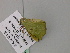  ( - BC ZSM Lep 57098)  @12 [ ] CreativeCommons - Attribution Non-Commercial Share-Alike (2011) Axel Hausmann/Bavarian State Collection of Zoology (ZSM) SNSB, Zoologische Staatssammlung Muenchen