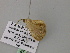  ( - BC ZSM Lep 57126)  @12 [ ] CreativeCommons - Attribution Non-Commercial Share-Alike (2011) Axel Hausmann/Bavarian State Collection of Zoology (ZSM) SNSB, Zoologische Staatssammlung Muenchen
