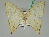  ( - BC ZSM Lep 45380)  @12 [ ] CreativeCommons - Attribution Non-Commercial Share-Alike (2011) Axel Hausmann/Bavarian State Collection of Zoology (ZSM) SNSB, Zoologische Staatssammlung Muenchen