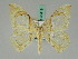  ( - BC ZSM Lep 45419)  @14 [ ] CreativeCommons - Attribution Non-Commercial Share-Alike (2011) Axel Hausmann/Bavarian State Collection of Zoology (ZSM) SNSB, Zoologische Staatssammlung Muenchen