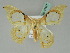  ( - BC ZSM Lep 45441)  @11 [ ] CreativeCommons - Attribution Non-Commercial Share-Alike (2011) Axel Hausmann/Bavarian State Collection of Zoology (ZSM) SNSB, Zoologische Staatssammlung Muenchen