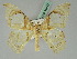  ( - BC ZSM Lep 45447)  @11 [ ] CreativeCommons - Attribution Non-Commercial Share-Alike (2011) Axel Hausmann/Bavarian State Collection of Zoology (ZSM) SNSB, Zoologische Staatssammlung Muenchen