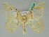  ( - BC ZSM Lep 45448)  @11 [ ] CreativeCommons - Attribution Non-Commercial Share-Alike (2011) Axel Hausmann/Bavarian State Collection of Zoology (ZSM) SNSB, Zoologische Staatssammlung Muenchen