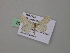  (Lobocleta AH01Bo - BC ZSM Lep 57176)  @11 [ ] CreativeCommons - Attribution Non-Commercial Share-Alike (2011) Axel Hausmann/Bavarian State Collection of Zoology (ZSM) SNSB, Zoologische Staatssammlung Muenchen