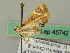  ( - BC ZSM Lep 45742)  @13 [ ] CreativeCommons - Attribution Non-Commercial Share-Alike (2011) Axel Hausmann/Bavarian State Collection of Zoology (ZSM) SNSB, Zoologische Staatssammlung Muenchen
