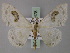  ( - BC ZSM Lep 60478)  @12 [ ] CreativeCommons - Attribution Non-Commercial Share-Alike (2011) Axel Hausmann/Bavarian State Collection of Zoology (ZSM) SNSB, Zoologische Staatssammlung Muenchen