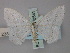  ( - BC ZSM Lep 60541)  @13 [ ] CreativeCommons - Attribution Non-Commercial Share-Alike (2011) Axel Hausmann/Bavarian State Collection of Zoology (ZSM) SNSB, Zoologische Staatssammlung Muenchen