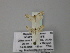  ( - BC ZSM Lep 60610)  @12 [ ] CreativeCommons - Attribution Non-Commercial Share-Alike (2011) Axel Hausmann/Bavarian State Collection of Zoology (ZSM) SNSB, Zoologische Staatssammlung Muenchen