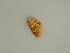  ( - BC ZSM Lep 60991)  @12 [ ] CreativeCommons - Attribution Non-Commercial Share-Alike (2011) Axel Hausmann/Bavarian State Collection of Zoology (ZSM) SNSB, Zoologische Staatssammlung Muenchen
