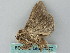  ( - BC ZSM Lep 53472)  @12 [ ] CreativeCommons - Attribution Non-Commercial Share-Alike (2011) Axel Hausmann/Bavarian State Collection of Zoology (ZSM) SNSB, Zoologische Staatssammlung Muenchen