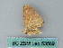  ( - BC ZSM Lep 53569)  @12 [ ] CreativeCommons - Attribution Non-Commercial Share-Alike (2011) Axel Hausmann/Bavarian State Collection of Zoology (ZSM) SNSB, Zoologische Staatssammlung Muenchen