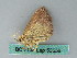  ( - BC ZSM Lep 53656)  @12 [ ] CreativeCommons - Attribution Non-Commercial Share-Alike (2011) Axel Hausmann/Bavarian State Collection of Zoology (ZSM) SNSB, Zoologische Staatssammlung Muenchen