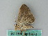  ( - BC ZSM Lep 53672)  @12 [ ] CreativeCommons - Attribution Non-Commercial Share-Alike (2011) Axel Hausmann/Bavarian State Collection of Zoology (ZSM) SNSB, Zoologische Staatssammlung Muenchen