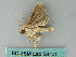  ( - BC ZSM Lep 53701)  @12 [ ] CreativeCommons - Attribution Non-Commercial Share-Alike (2011) Axel Hausmann/Bavarian State Collection of Zoology (ZSM) SNSB, Zoologische Staatssammlung Muenchen