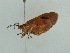  ( - BC ZSM Lep 55100)  @12 [ ] CreativeCommons - Attribution Non-Commercial Share-Alike (2011) Axel Hausmann/Bavarian State Collection of Zoology (ZSM) SNSB, Zoologische Staatssammlung Muenchen