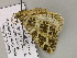  ( - BC ZSM Lep 55571)  @12 [ ] CreativeCommons - Attribution Non-Commercial Share-Alike (2011) Axel Hausmann/Bavarian State Collection of Zoology (ZSM) SNSB, Zoologische Staatssammlung Muenchen