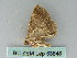  ( - BC ZSM Lep 53848)  @12 [ ] CreativeCommons - Attribution Non-Commercial Share-Alike (2011) Axel Hausmann/Bavarian State Collection of Zoology (ZSM) SNSB, Zoologische Staatssammlung Muenchen