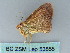  ( - BC ZSM Lep 53855)  @13 [ ] CreativeCommons - Attribution Non-Commercial Share-Alike (2011) Axel Hausmann/Bavarian State Collection of Zoology (ZSM) SNSB, Zoologische Staatssammlung Muenchen
