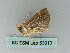  ( - BC ZSM Lep 53910)  @12 [ ] CreativeCommons - Attribution Non-Commercial Share-Alike (2011) Axel Hausmann/Bavarian State Collection of Zoology (ZSM) SNSB, Zoologische Staatssammlung Muenchen