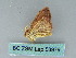  ( - BC ZSM Lep 53979)  @12 [ ] CreativeCommons - Attribution Non-Commercial Share-Alike (2011) Axel Hausmann/Bavarian State Collection of Zoology (ZSM) SNSB, Zoologische Staatssammlung Muenchen
