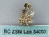  ( - BC ZSM Lep 54003)  @12 [ ] CreativeCommons - Attribution Non-Commercial Share-Alike (2011) Axel Hausmann/Bavarian State Collection of Zoology (ZSM) SNSB, Zoologische Staatssammlung Muenchen