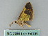  ( - BC ZSM Lep 54006)  @12 [ ] CreativeCommons - Attribution Non-Commercial Share-Alike (2011) Axel Hausmann/Bavarian State Collection of Zoology (ZSM) SNSB, Zoologische Staatssammlung Muenchen